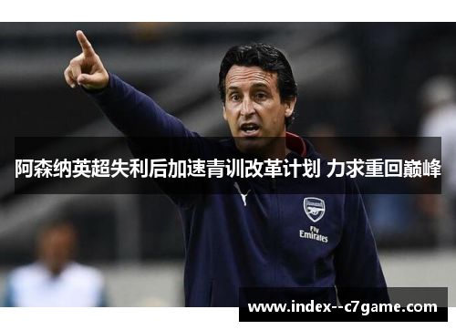 阿森纳英超失利后加速青训改革计划 力求重回巅峰 阿森纳英超失利后加速青训改革计划 力求重回巅峰